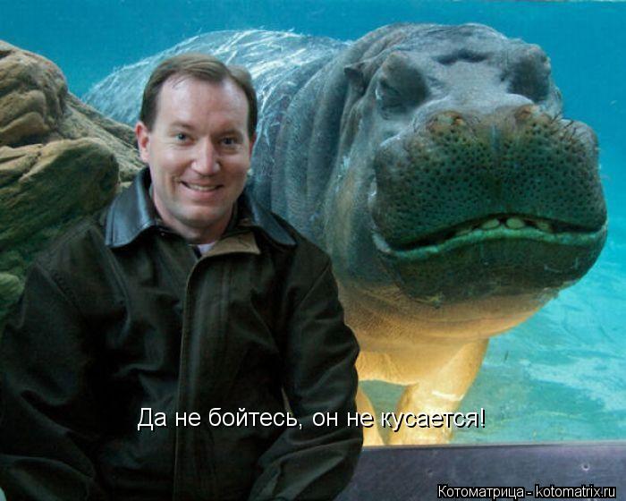 Да не бойтесь, он не кусается!... Котоматрица: Да не бойтесь, он не кусается!