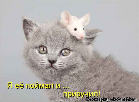 Я её поймал и ... приручил!... Котоматрица: Я её поймал и ... приручил!