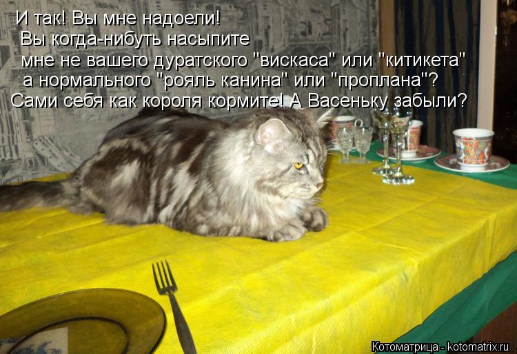 И так! Вы мне надоели! Вы когда-нибуть насыпите мне не вашего дуратского "вискаса" или "китикета" а... Котоматрица: И так! Вы мне надоели! Вы когда-нибуть насыпите мне не вашего дуратского "вискаса" или "китикета" а нормального "рояль канина" или "проплана"?