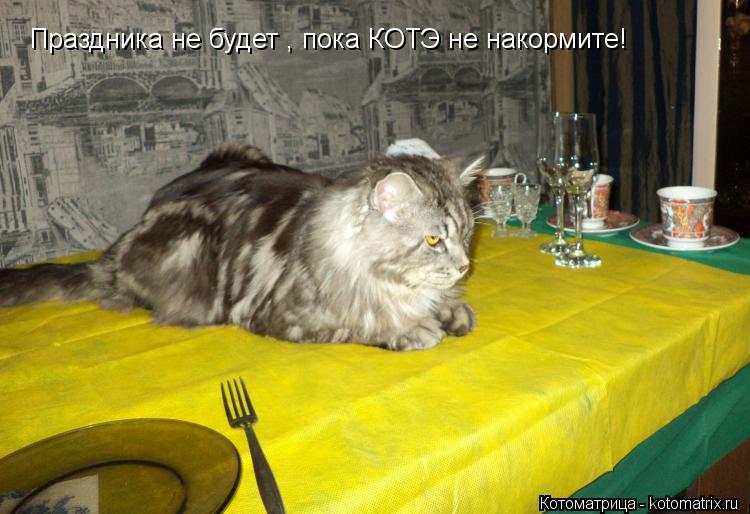 Праздника не будет , пока КОТЭ не накормите!... Котоматрица: Праздника не будет , пока КОТЭ не накормите!