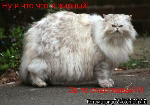 Ну и что что я жирный! За то счастливый!!!!... Котоматрица: Ну и что что я жирный! За то счастливый!!!!