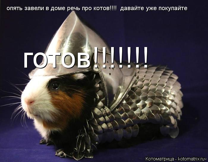 опять завели в доме речь про котов!!!! давайте уже покупайте готов!!!!!!!... Котоматрица: опять завели в доме речь про котов!!!! давайте уже покупайте готов!!!!!!!