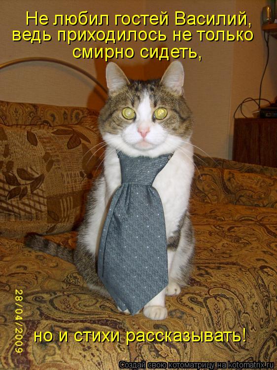 Не любил гостей Василий, ведь приходилось не только смирно сидеть, но и стихи рассказывать!... Котоматрица: Не любил гостей Василий, ведь приходилось не только смирно сидеть, но и стихи рассказывать!