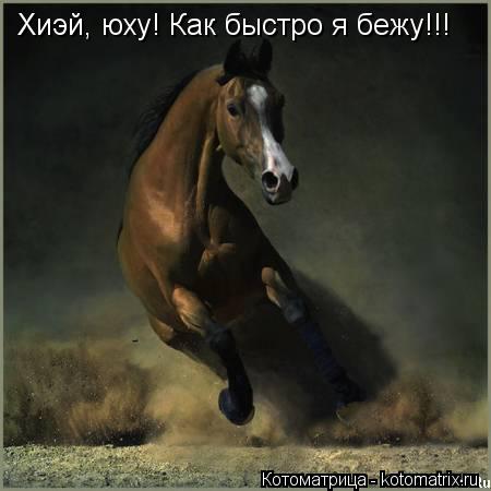 Хиэй, юху! Как быстро я бежу!!!... Котоматрица: Хиэй, юху! Как быстро я бежу!!!