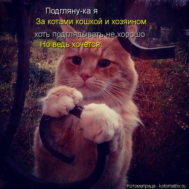 Подгляну-ка я За котами кошкой и хозяином хоть подглядывать не хорошо Но ведь хочется...... Котоматрица: Подгляну-ка я За котами кошкой и хозяином хоть подглядывать не хорошо Но ведь хочется...