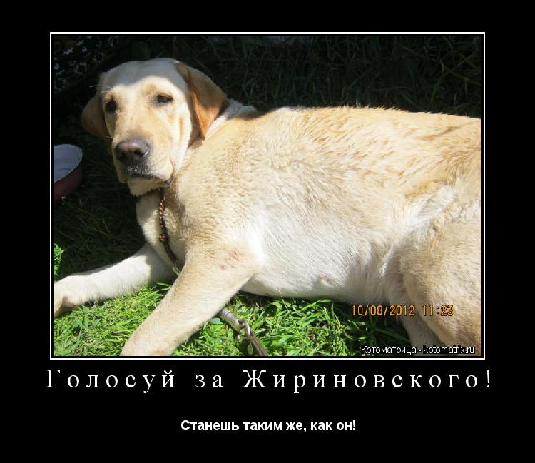 Голосуй за Жириновского! Станешь таким же, как он!... Котоматрица: Голосуй за Жириновского! Станешь таким же, как он!