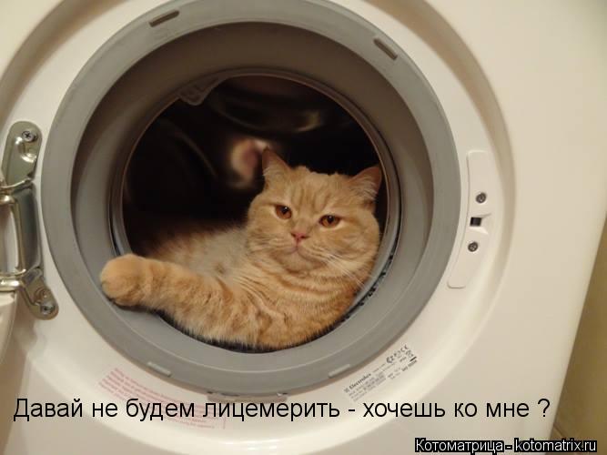Давай не будем лицемерить - хочешь ко мне ?... Котоматрица: Давай не будем лицемерить - хочешь ко мне ?