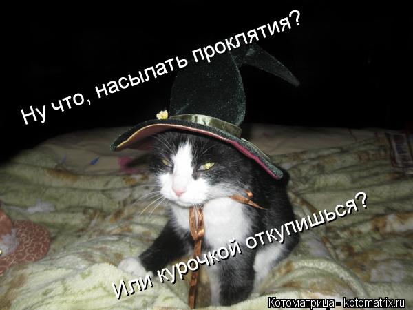 Ну что, насылать проклятия? Или курочкой откупишься?... Котоматрица: Ну что, насылать проклятия? Или курочкой откупишься?