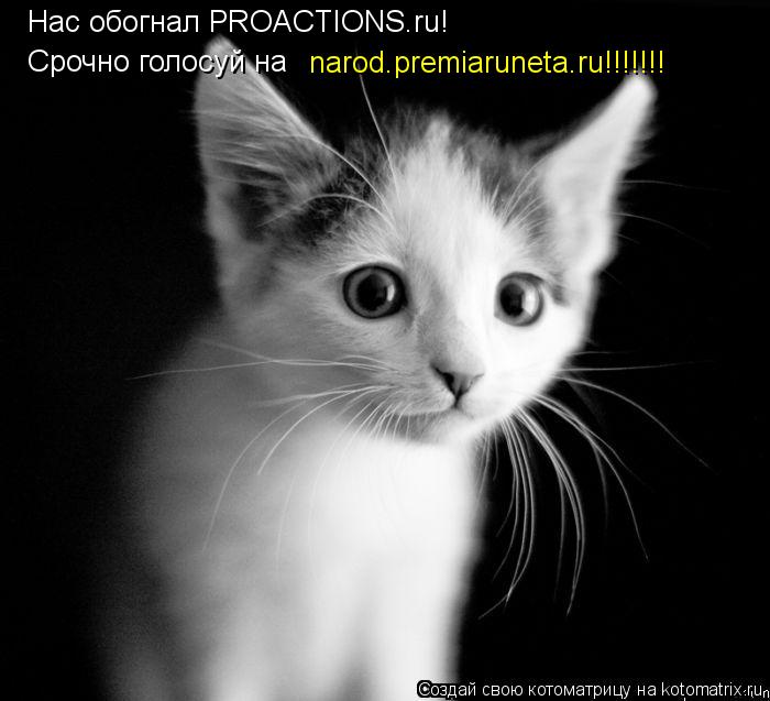 Нас обогнал PROACTIONS.ru! Срочно голосуй на narod.premiaruneta.ru!!!!!!!... Котоматрица: Нас обогнал PROACTIONS.ru! Срочно голосуй на narod.premiaruneta.ru!!!!!!!