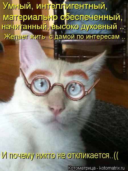 Умный, интеллигентный, материально обеспеченный, начитанный, высоко духовный .. Желает жить с дамо... Котоматрица: Умный, интеллигентный, материально обеспеченный, начитанный, высоко духовный .. Желает жить с дамой по интересам .. И почему никто не откли