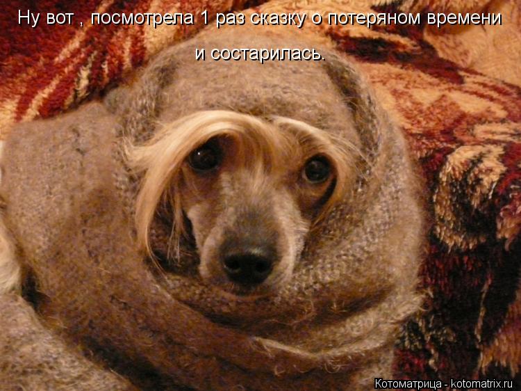 Ну вот , посмотрела 1 раз сказку о потеряном времени и состарилась.... Котоматрица: Ну вот , посмотрела 1 раз сказку о потеряном времени и состарилась.