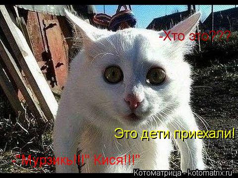 -Хто это??? Это дети приехали! -"Мурзикь!!!" Кися!!!"... Котоматрица: -Хто это??? Это дети приехали! -"Мурзикь!!!" Кися!!!"
