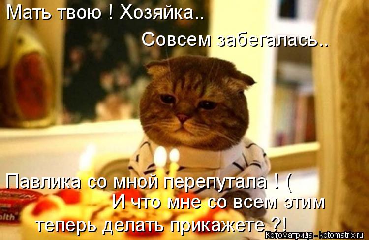 Мать твою ! Хозяйка.. Совсем забегалась.. И что мне со всем этим теперь делать прикажете ?! Павлика ... Котоматрица: Мать твою ! Хозяйка.. Совсем забегалась.. И что мне со всем этим теперь делать прикажете ?! Павлика со мной перепутала ! (
