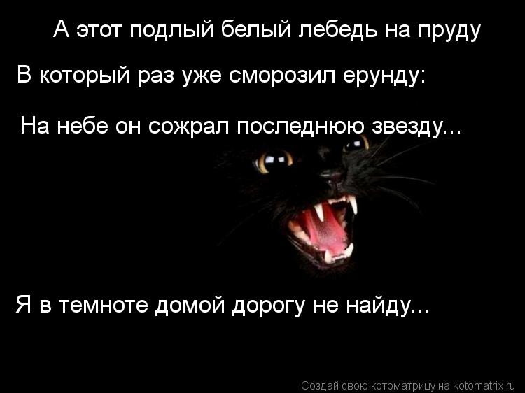 В который раз уже сморозил ерунду: На небе он сожрал последнюю звезду... Я в темноте домой дорогу не ... Котоматрица: В который раз уже сморозил ерунду: На небе он сожрал последнюю звезду... Я в темноте домой дорогу не найду... А этот подлый белый лебедь на пру