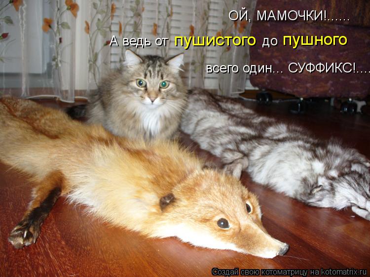 Котоматрица: ОЙ, МАМОЧКИ!...... пушного пушистого А ведь от                        до всего один... СУФФИКС!......
