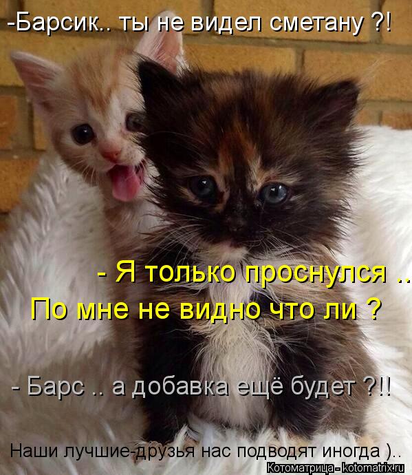 -Барсик.. ты не видел сметану ?! - Я только проснулся .. По мне не видно что ли ? - Барс .. а добавк... Котоматрица: -Барсик.. ты не видел сметану ?! - Я только проснулся .. По мне не видно что ли ? - Барс .. а добавка ещё будет ?!! Наши лучшие-друзья нас подводят ин