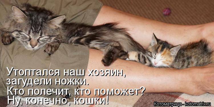 загудели ножки. Ну, конечно, кошки! Кто полечит, кто поможет? Утоптался наш хозяин,... Котоматрица: загудели ножки. Ну, конечно, кошки! Кто полечит, кто поможет? Утоптался наш хозяин,