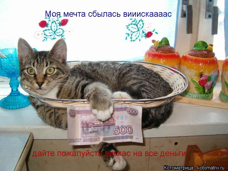 дайте пожалуйста вискас на все деньги Моя мечта сбылась вииискаааас... Котоматрица: дайте пожалуйста вискас на все деньги Моя мечта сбылась вииискаааас