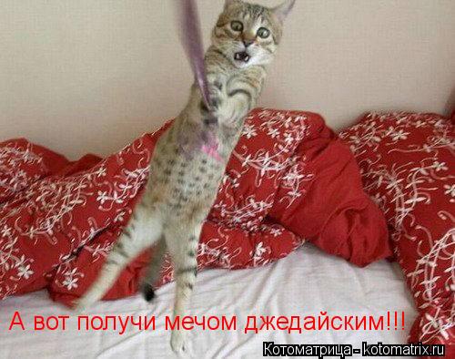 А вот получи мечом джедайским!!!... Котоматрица: А вот получи мечом джедайским!!!