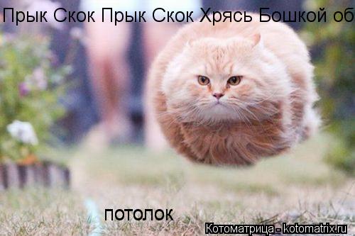 Прык Скок Прык Скок Хрясь Бошкой об потолок потолок... Котоматрица: Прык Скок Прык Скок Хрясь Бошкой об потолок потолок