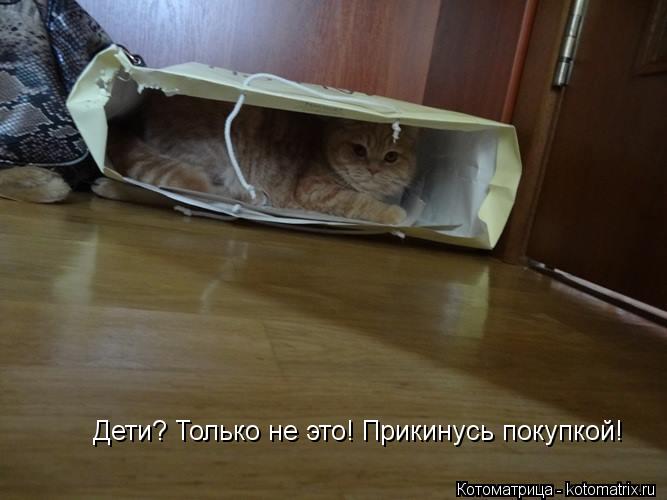 Дети? Только не это! Прикинусь покупкой!... Котоматрица: Дети? Только не это! Прикинусь покупкой!