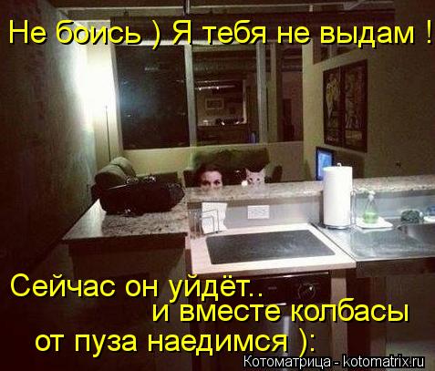 Не боись ) Я тебя не выдам ! Сейчас он уйдёт.. и вместе колбасы от пуза наедимся ):... Котоматрица: Не боись ) Я тебя не выдам ! Сейчас он уйдёт.. и вместе колбасы от пуза наедимся ):