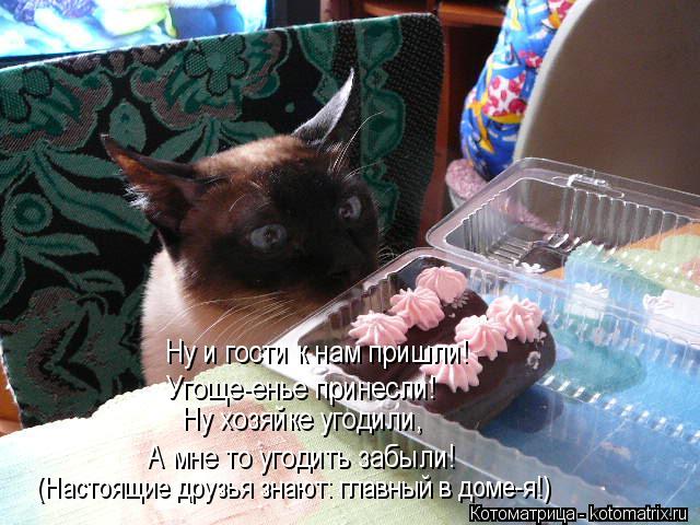 Ну и гости к нам пришли! Ну хозяйке угодили, Угоще-енье принесли! А мне то угодить забыли! (Настоящие... Котоматрица: Ну и гости к нам пришли! Ну хозяйке угодили, Угоще-енье принесли! А мне то угодить забыли! (Настоящие друзья знают: главный в доме-я!)