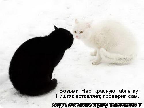 Возьми, Нео, красную таблетку! Ништяк вставляет, проверил сам.... Котоматрица: Возьми, Нео, красную таблетку! Ништяк вставляет, проверил сам.
