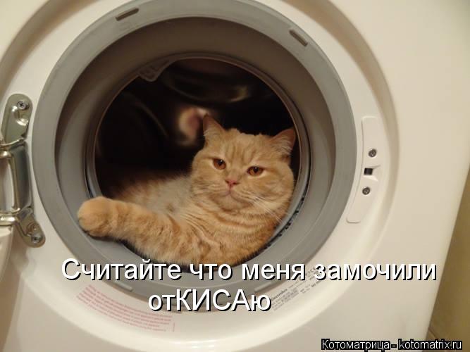 Считайте что меня замочили отКИСАю... Котоматрица: Считайте что меня замочили отКИСАю