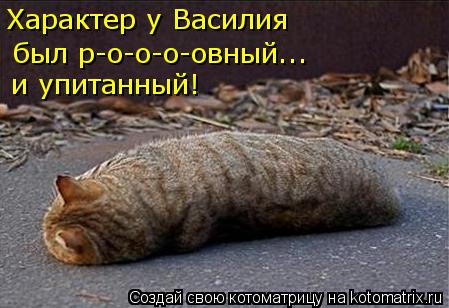 Характер у Василия был р-о-о-о-овный... и упитанный!... Котоматрица: Характер у Василия был р-о-о-о-овный... и упитанный!