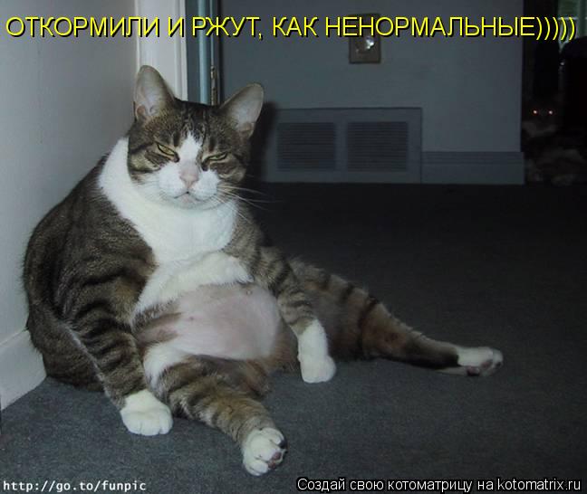 ОТКОРМИЛИ И РЖУТ, КАК НЕНОРМАЛЬНЫЕ)))))... Котоматрица: ОТКОРМИЛИ И РЖУТ, КАК НЕНОРМАЛЬНЫЕ)))))