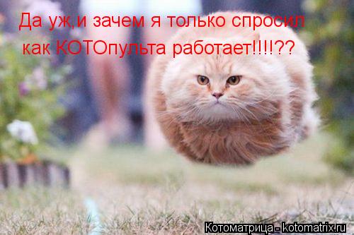 Да уж,и зачем я только спросил как КОТОпульта работает!!!!??... Котоматрица: Да уж,и зачем я только спросил как КОТОпульта работает!!!!??