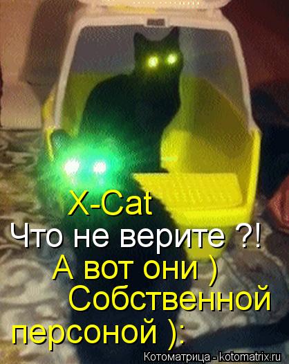 X-Сat Что не верите ?! А вот они ) Собственной персоной ):... Котоматрица: X-Сat Что не верите ?! А вот они ) Собственной персоной ):