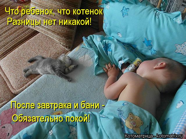 Котоматрица: Что ребенок, что котенок Разницы нет никакой! После завтрака и бани - Обязательно покой!
