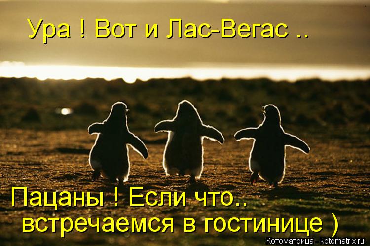 Ура ! Вот и Лас-Вегас .. Пацаны ! Если что.. встречаемся в гостинице )... Котоматрица: Ура ! Вот и Лас-Вегас .. Пацаны ! Если что.. встречаемся в гостинице )