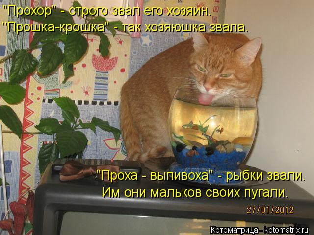 "Проха - выпивоха" - рыбки звали. Им они мальков своих пугали. "Прохор" - строго звал его хозяин. "Пр... Котоматрица: "Проха - выпивоха" - рыбки звали. Им они мальков своих пугали. "Прохор" - строго звал его хозяин. "Прошка-крошка" - так хозяюшка звала.