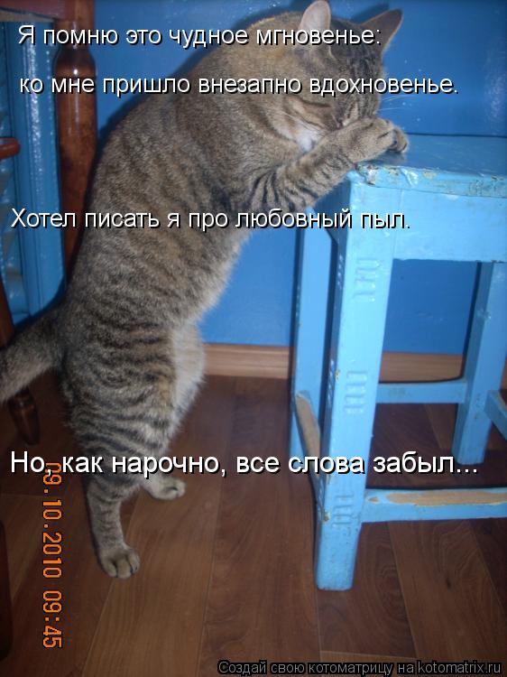 Я помню это чудное мгновенье: ко мне пришло внезапно вдохновенье. Хотел писать я про любовный пыл. Н... Котоматрица: Я помню это чудное мгновенье: ко мне пришло внезапно вдохновенье. Хотел писать я про любовный пыл. Но, как нарочно, все слова забыл...