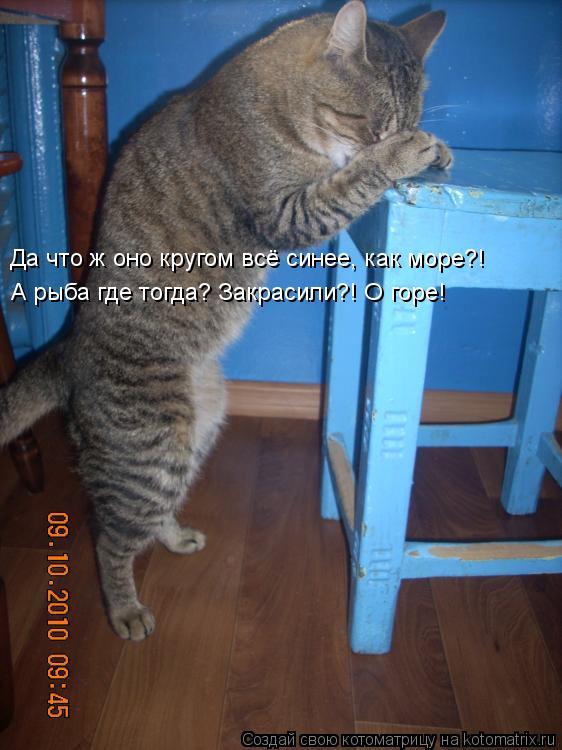 Да что ж оно кругом всё синее, как море?! А рыба где тогда? Закрасили?! О горе!... Котоматрица: Да что ж оно кругом всё синее, как море?! А рыба где тогда? Закрасили?! О горе!