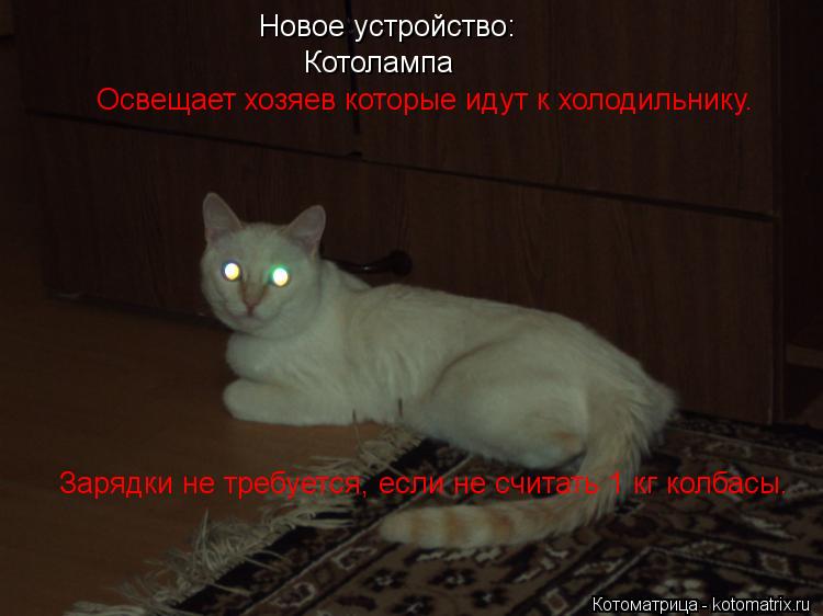 Новое устройство: Котолампа Освещает хозяев которые идут к холодильнику. Зарядки не требуется, если ... Котоматрица: Новое устройство: Котолампа Освещает хозяев которые идут к холодильнику. Зарядки не требуется, если не считать 1 кг колбасы.