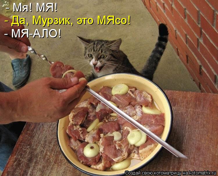 - Мя! МЯ! - Да, Мурзик, это МЯсо! - МЯ-АЛО!... Котоматрица: - Мя! МЯ! - Да, Мурзик, это МЯсо! - МЯ-АЛО!