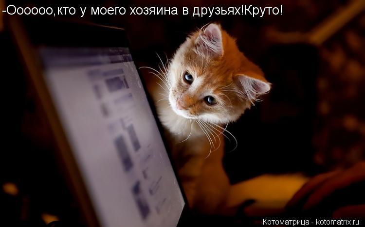 -Оооооо,кто у моего хозяина в друзьях!Круто!... Котоматрица: -Оооооо,кто у моего хозяина в друзьях!Круто!