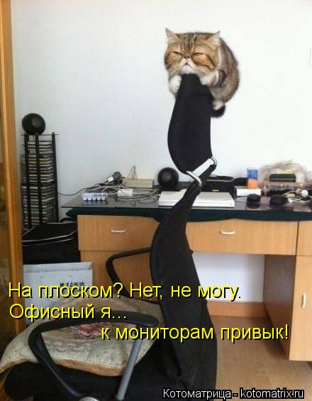 На плоском? Нет, не могу. Офисный я... к мониторам привык!... Котоматрица: На плоском? Нет, не могу. Офисный я... к мониторам привык!