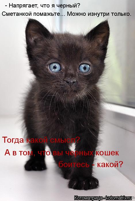 - Напрягает, что я черный? Сметанкой помажьте... Можно изнутри только. Тогда какой смысл? А в том, ... Котоматрица: - Напрягает, что я черный? Сметанкой помажьте... Можно изнутри только. Тогда какой смысл? А в том, что вы черных кошек боитесь - какой?
