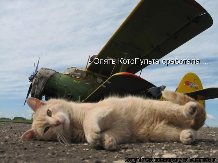 - Опять КотоПульта сработала........ Котоматрица: - Опять КотоПульта сработала.....