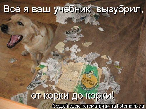 Всё я ваш учебник вызубрил, от корки до корки!... Котоматрица: Всё я ваш учебник вызубрил, от корки до корки!