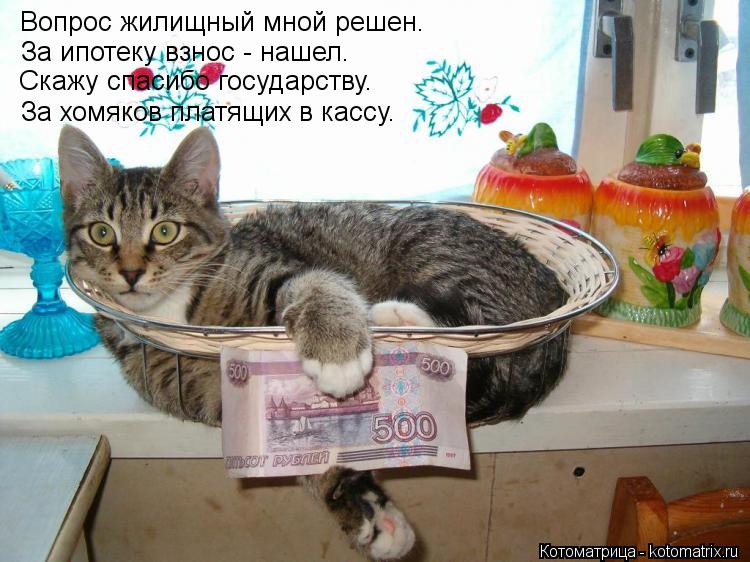 Вопрос жилищный мной решен. За ипотеку взнос - нашел. Скажу спасибо государству. За хомяков платящих ... Котоматрица: Вопрос жилищный мной решен. За ипотеку взнос - нашел. Скажу спасибо государству. За хомяков платящих в кассу.