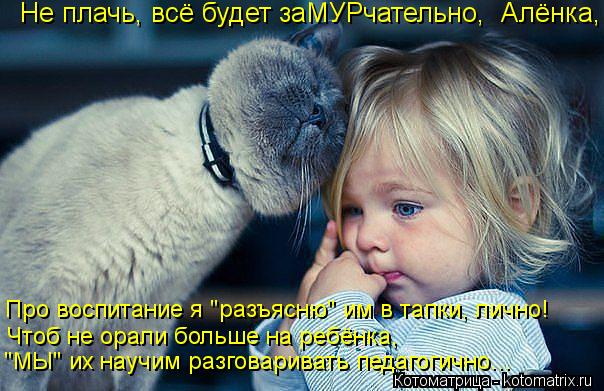 Не плачь, всё будет заМУРчательно, Алёнка, Про воспитание я "разъясню" им в тапки, лично! Чтоб не ор... Котоматрица: Не плачь, всё будет заМУРчательно, Алёнка, Про воспитание я "разъясню" им в тапки, лично! Чтоб не орали больше на ребёнка, "МЫ" их научим разго