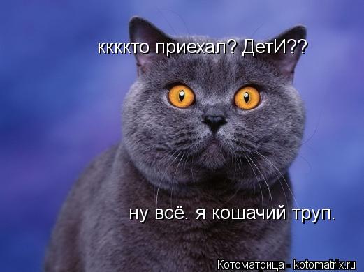 ккккто приехал? ДетИ?? ну всё. я кошачий труп.... Котоматрица: ккккто приехал? ДетИ?? ну всё. я кошачий труп.