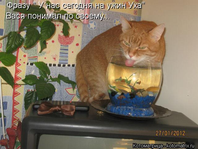 Фразу " У нас сегодня на ужин Уха" Вася понимал по своему... Фразу " У нас сегодня на ужин Уха" Вася... Котоматрица: Фразу " У нас сегодня на ужин Уха" Вася понимал по своему... Фразу " У нас сегодня на ужин Уха" Вася понимал по своему...