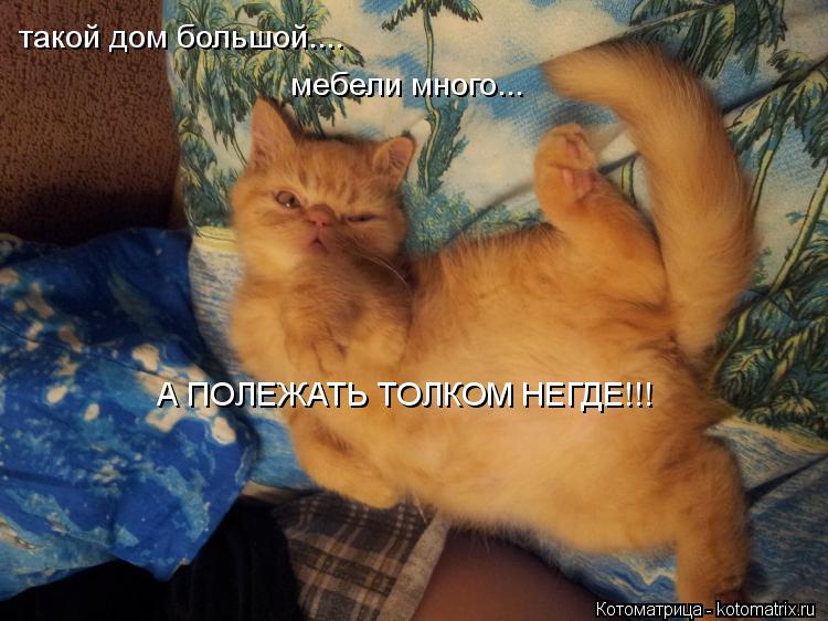 такой дом большой.... мебели много... А ПОЛЕЖАТЬ ТОЛКОМ НЕГДЕ!!!... Котоматрица: такой дом большой.... мебели много... А ПОЛЕЖАТЬ ТОЛКОМ НЕГДЕ!!!